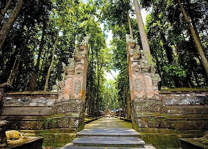 Warsa's Garden And Pensión